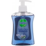 Dettol Cleanse antibakteriální mýdlo dávkovač 250 ml – Zboží Mobilmania