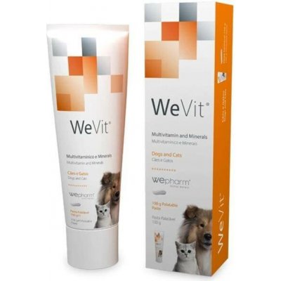 WePharm Veterinaria WeVit Tasty 100 gr Multivitamin a minerály – Hledejceny.cz