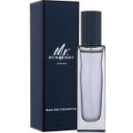 Burberry Mr. Burberry toaletní voda pánská 30 ml – Zbozi.Blesk.cz