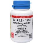 Sinecura BCX5.8 1258 xiangsheng podi san 60 tablet – Hledejceny.cz