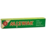 Dabur Ajurvédská s Miswakem 100 ml – Hledejceny.cz