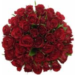 Kytice 35 červených růží RED CALYPSO 50 cm – Sleviste.cz