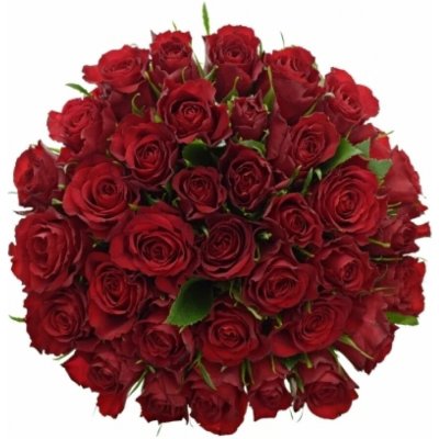 Kytice 35 červených růží RED CALYPSO 50 cm – Sleviste.cz