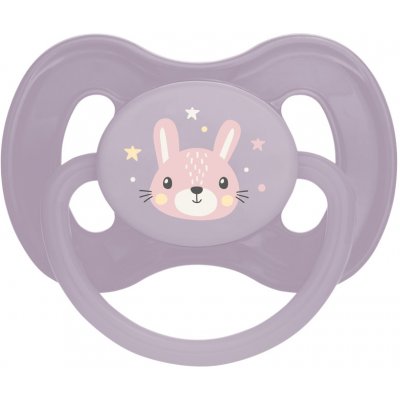 Canpol babies dudlík kaučuk třešinka Cute Animals 1ks fiialová – Zboží Mobilmania