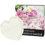 Dedra sójový vonný eko vosk do aromalampy CHANSON D’AMOUR 40 g – Hledejceny.cz