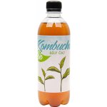 Stevikom Kombucha Bílý čaj Bio 0,5 l – Zboží Mobilmania