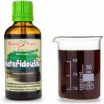 Bylinné kapky Pavlovy kapky Mateřídouška tinktura 50 ml – Hledejceny.cz