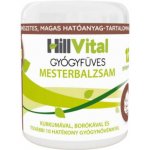 Hillvital Master balzám bolest kloubů, svalů, zad 250 ml – Zbozi.Blesk.cz