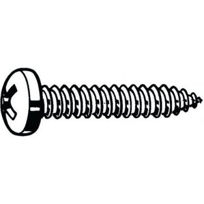 Manutan Samořezný šroub s válcovou vypouklou hlavou s křížovou drážkou Phillips DIN 7981 C-H Nerezocel A2 ST4,8X25MM – Hledejceny.cz