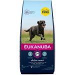 Eukanuba Adult Large Breed 18 kg – Hledejceny.cz