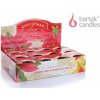 Svíčka Bartek Candles Christmas Flower WARM RED 115 g