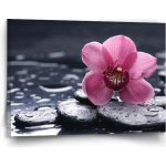 Sablio Obraz Orchidej - 120x80 cm – Hledejceny.cz
