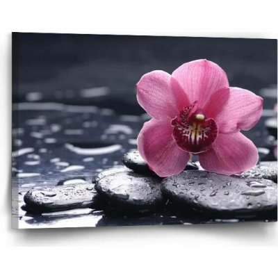 Sablio Obraz Orchidej - 120x80 cm – Hledejceny.cz