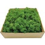 mech-mech.cz Sobí mech Alpský premium - lesní zelený - 50g – Zboží Dáma