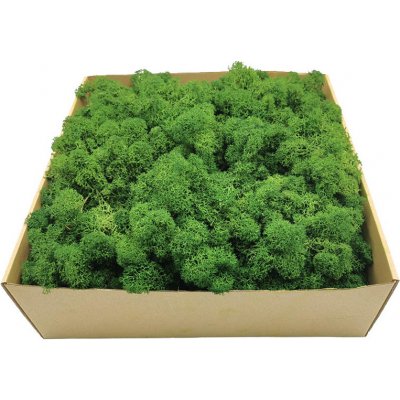 mech-mech.cz Sobí mech Alpský premium - lesní zelený - 50g – Zboží Dáma