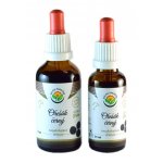 Salvia Paradise Ořešák černý AF tinktura 30 ml – Hledejceny.cz