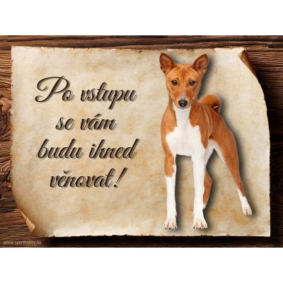 Sport hobby Cedulka Basenji Po vstupu ... 20 x 15 cm – Zbozi.Blesk.cz