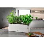 květináč COBBLE TRIO samozavl. 40x14 cm ledově BÍ – Zboží Dáma