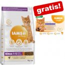 Iams for Vitality Cat Adult Indoor Chicken 10 kg