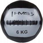 HMS Wall ball 6 kg – Zboží Mobilmania