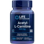 Life Extension ACETYL L CARNITINE 100 kapslí 500 mg – Hledejceny.cz