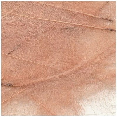 Petitjean CDC Peří Packs Pink 1 g – Hledejceny.cz