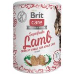 Brit Care Snack Superfruits Lamb jehněčí s kokosem 100 g – Hledejceny.cz