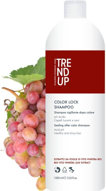 Trend Up Color Lock Shampoo pro barvené vlasy 1000 ml