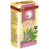 Čaj Agrokarpaty DNA bylinný čaj čistý přírodní produkt 20 x 2 g