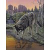 Malování podle čísla Royal Langnickel Malování podle čísel 22x30 cm - Vlk