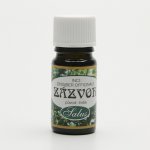 Saloos esenciální olej Zázvor 20 ml – Hledejceny.cz
