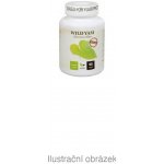 Natural Medicaments Wild Yam Premium 90 kapslí – Hledejceny.cz