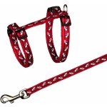 Trixie Postroj s vodítkem pro kočku motiv 27 - 46 cm 10 mm 1.20m – Zboží Dáma