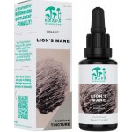 KÄÄPÄ Mushrooms Lion's Mane BIO tinktura 30 ml – Hledejceny.cz
