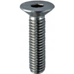 Hahn Steel Imbusový šroub M10 x 20 mm, Nerez AISI 316, surový stav – Hledejceny.cz