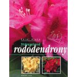 Stálezelené rododendrony – Hledejceny.cz