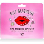 G9Skin Self Aesthetic Rose Hydrogel Lip Patch 3 g – Hledejceny.cz