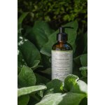 Havlíkova apotéka Vitamínová bomba 200 ml – Zboží Dáma