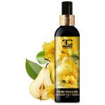 Dedra AMBROSIA Osvěžovač vzduchu & textilií luxusní parfémový sprej 200 ml – Sleviste.cz