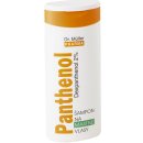 Šampon Panthenol šampon na mastné vlasy 2% 250 ml