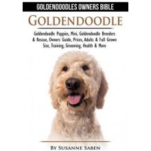 Goldendoodle