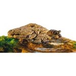 Hagen ExoTerra Ostrov M 29,8x17,8x5,4 cm – Sleviste.cz