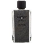 Bentley Momentum Unbreakable parfémovaná voda pánská 100 ml – Hledejceny.cz