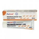 Aptus Reconvalescent Dog pasta 100 g – Zbozi.Blesk.cz