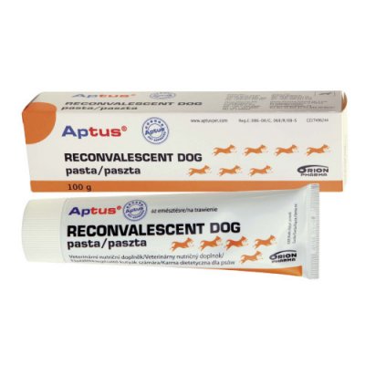 Aptus Reconvalescent Dog pasta 100 g – Hledejceny.cz