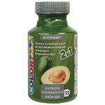 Kittfort Color Line 2v1 tekutá tónovací a malířská barva 13 Avokádo 350 g – Zbozi.Blesk.cz