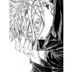 Plakát, Obraz - Jujutsu Kaisen : Gojo Satoru, 30 × 40 cm – Zbozi.Blesk.cz