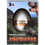 Teddies Dinosaurus líhnoucí a rostoucí z vajíčka v 12 ks v boxu – Zboží Mobilmania