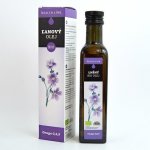 Health Link BIO lněný olej 0,25 l – Zboží Dáma