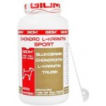 Giom Chondro L-karnitin Sport 400 g – Hledejceny.cz